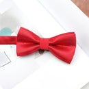 Multicolored Elegance Bow Tie