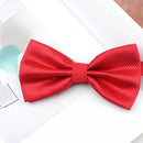 Multicolored Elegance Bow Tie