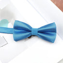 Multicolored Elegance Bow Tie