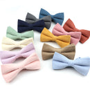 Casual Suede Finish Bow Tie